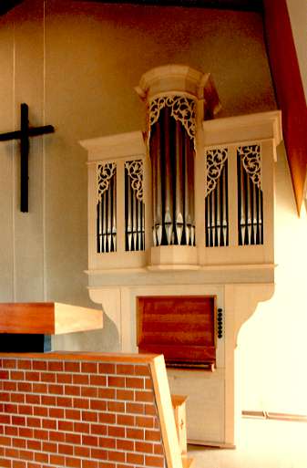 TSUJI ORGAN HOMEPAGE